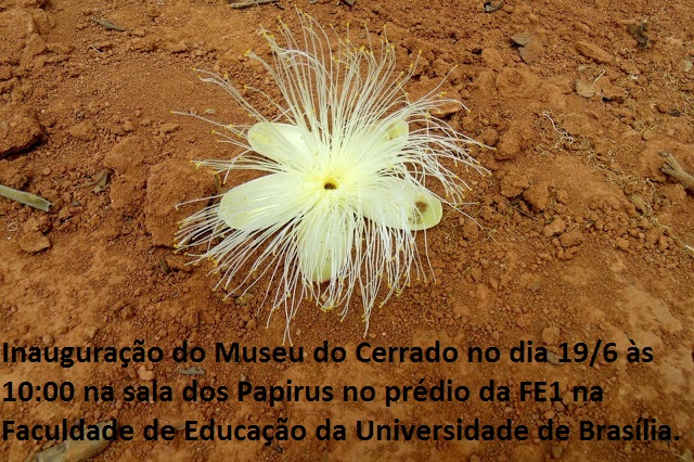 Inauguração do Museu do Cerrado