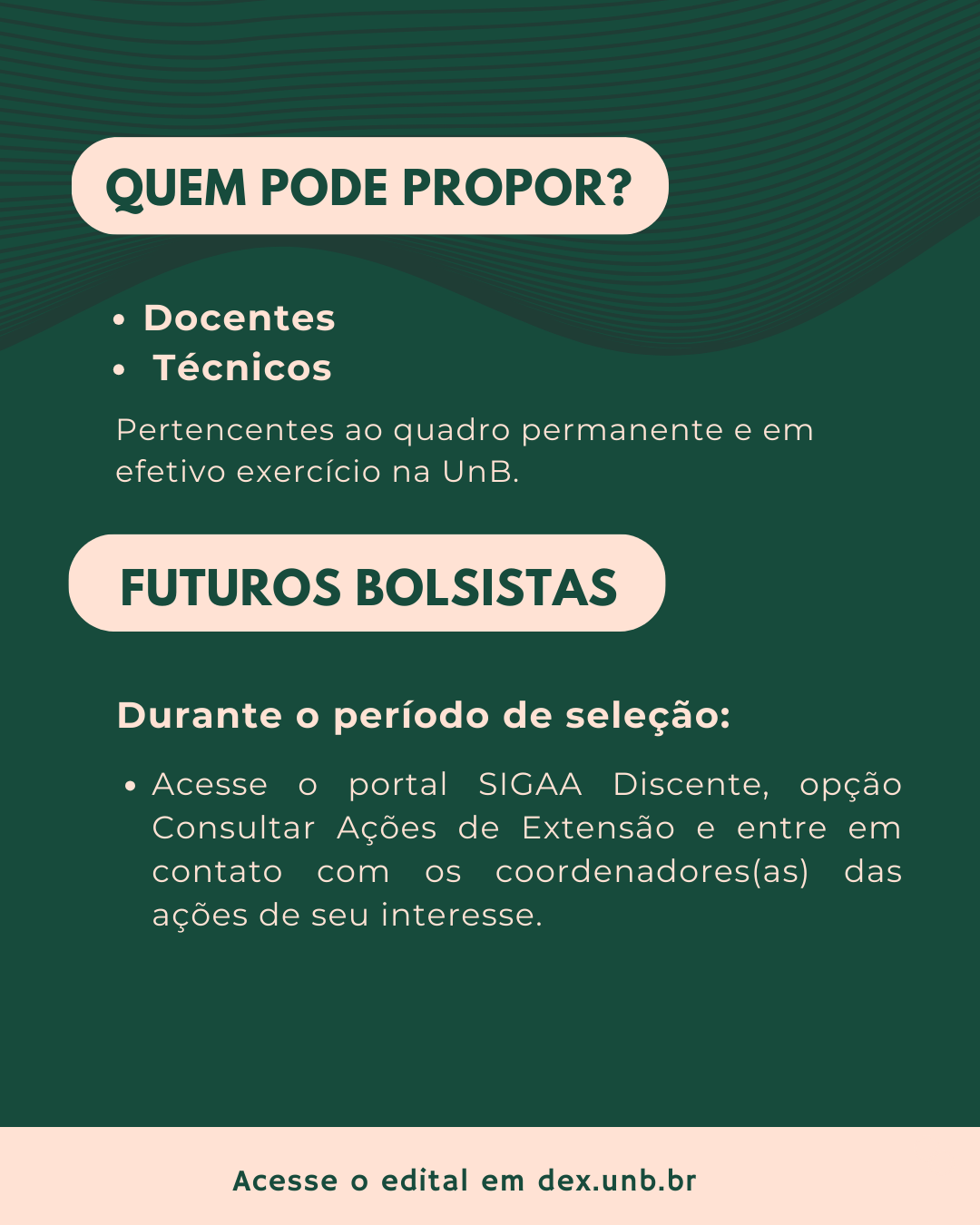 Programa Institucional de Bolsas de Extensão (Pibex) 2025