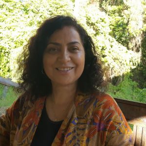 Rosineide Magalhães de Sousa
